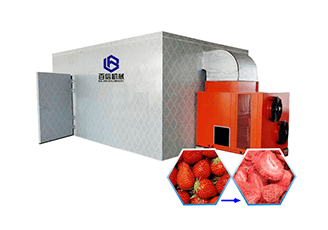 Strawberry dryer machine